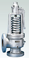 Steel Safety Valves for Steam, Air and Non-hazardous Gas Service image